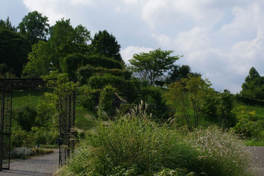 Lush green garden with tall grasses, trees, shrubs, and a stairway on a hillside under a partly cloudy sky.