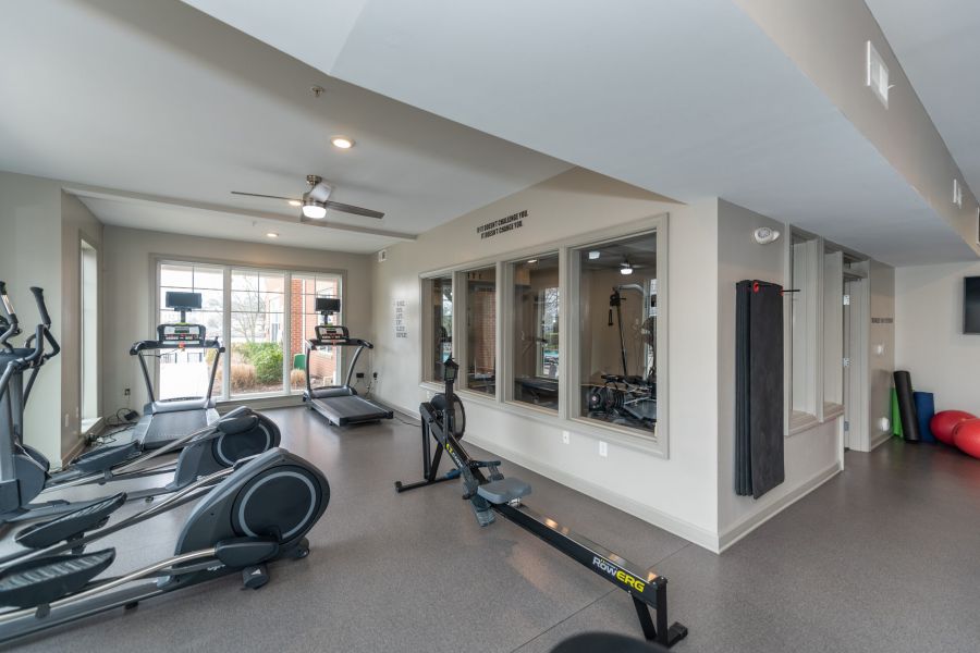 Modern gym with treadmills, elliptical machines, a rowing machine, and large windows letting in natural light.