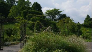 Norfolk Botanical Gardens