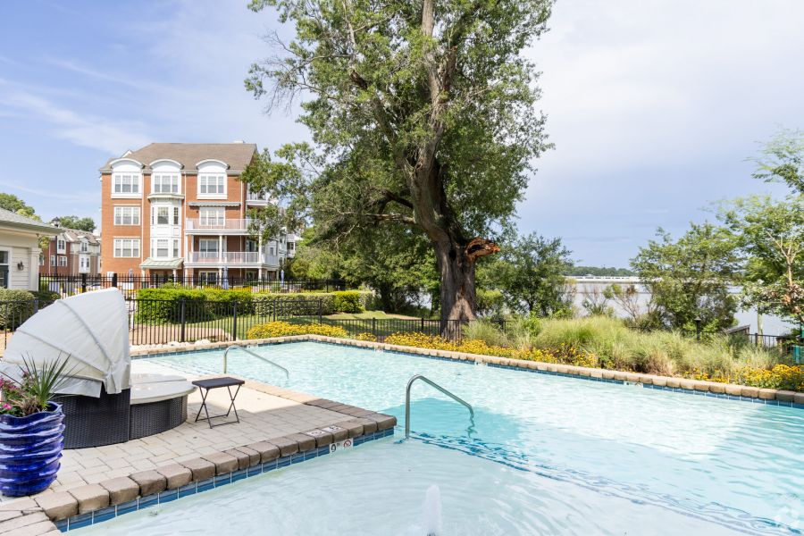 Apartment pool with lounge chairs, a large tree, and a view of a lake and buildings in the background.